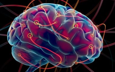 Neuroplasticitatea si efectul psihoterapiei asupra creierului
